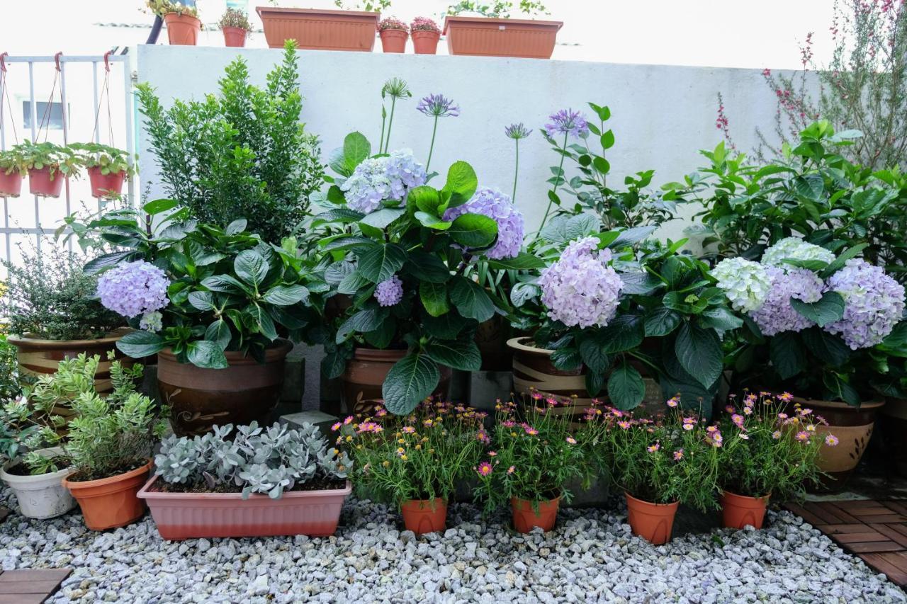 Comfy Sofy 21- Backyard Garden- Night Market Area คาเมรอนไฮแลนด์ ภายนอก รูปภาพ